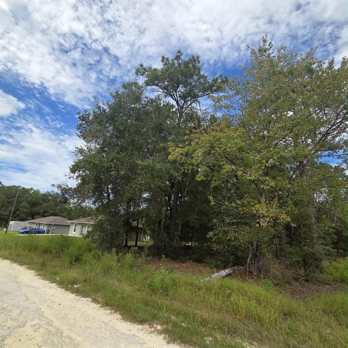 Land at Lot 14 SW 28TTH LN, OCALA, photo 5 of 6