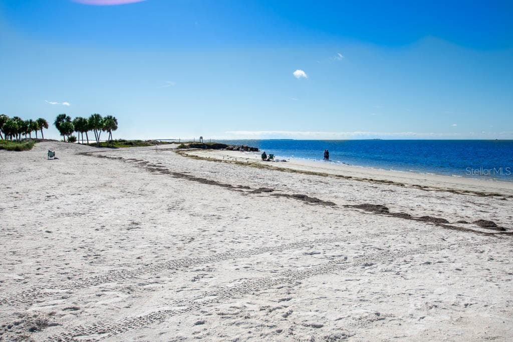 Condominium at 503 WINDRUSH BAY DR, TARPON SPRINGS, photo 52 of 66