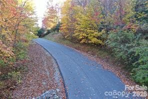 Paved Roads - TBD Barts Branch Drive, Balsam Grove