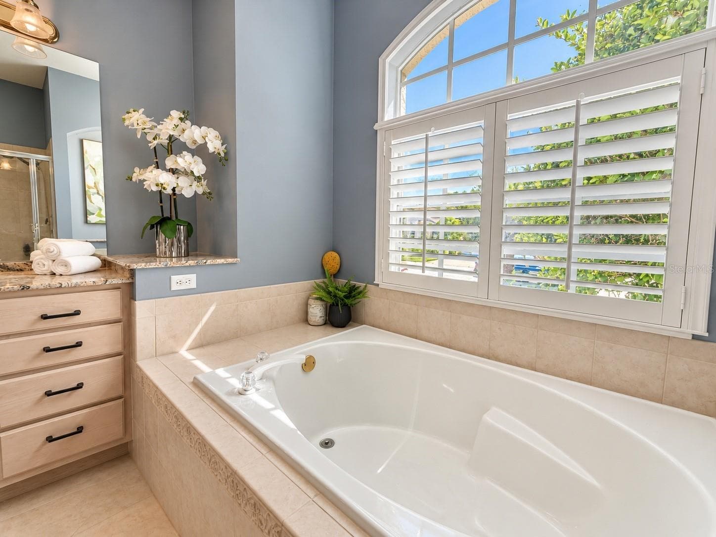 Single Family Residence at 8032 PINE HOLLOW DR, MOUNT DORA, photo 38 of 55