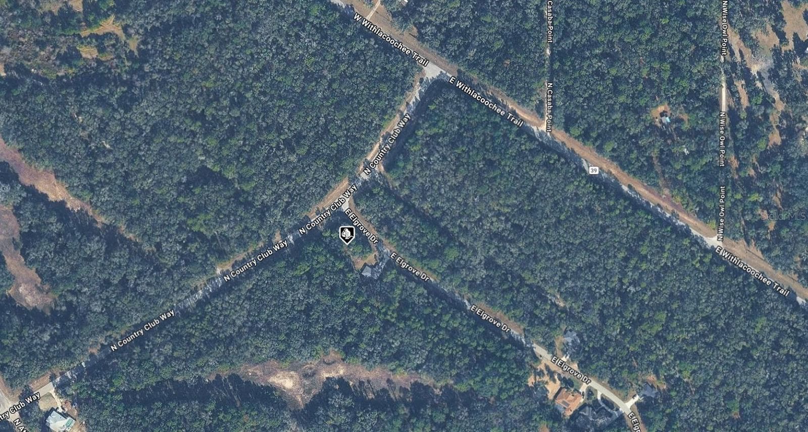 Land at 264 E ELGROVE DR, CITRUS SPRINGS, photo 2 of 3