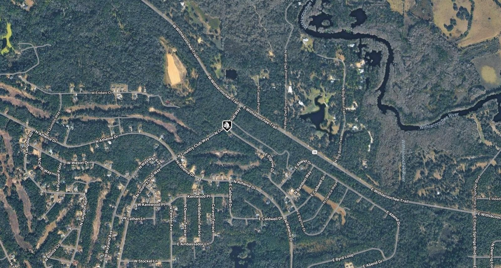 Land at 264 E ELGROVE DR, CITRUS SPRINGS, photo 3 of 3