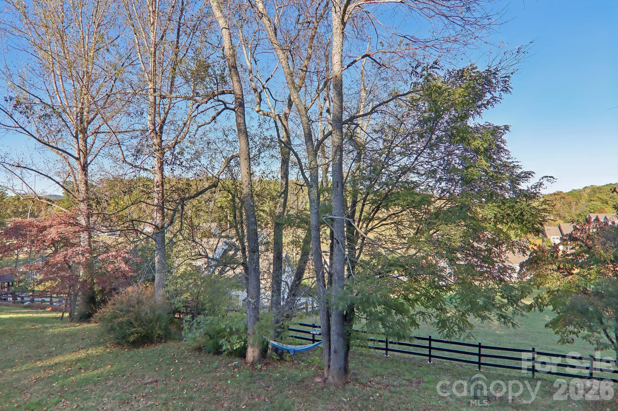 Fully fenced .52 acres with an invisible fence. - 12 Grassy Meadow Drive, Candler