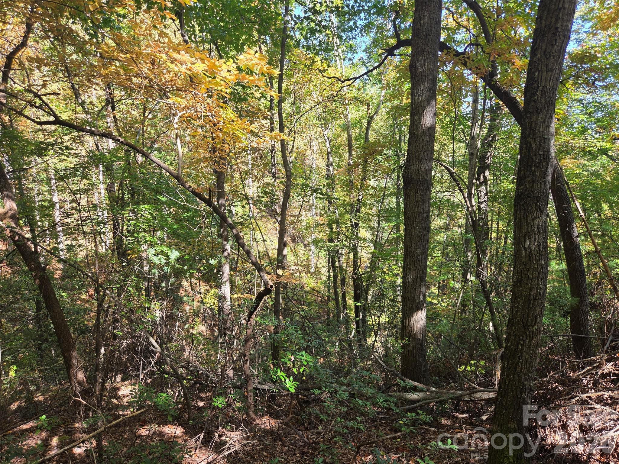 Acreage at 29 Elk Ridge Road, Ferguson, photo 3 of 23