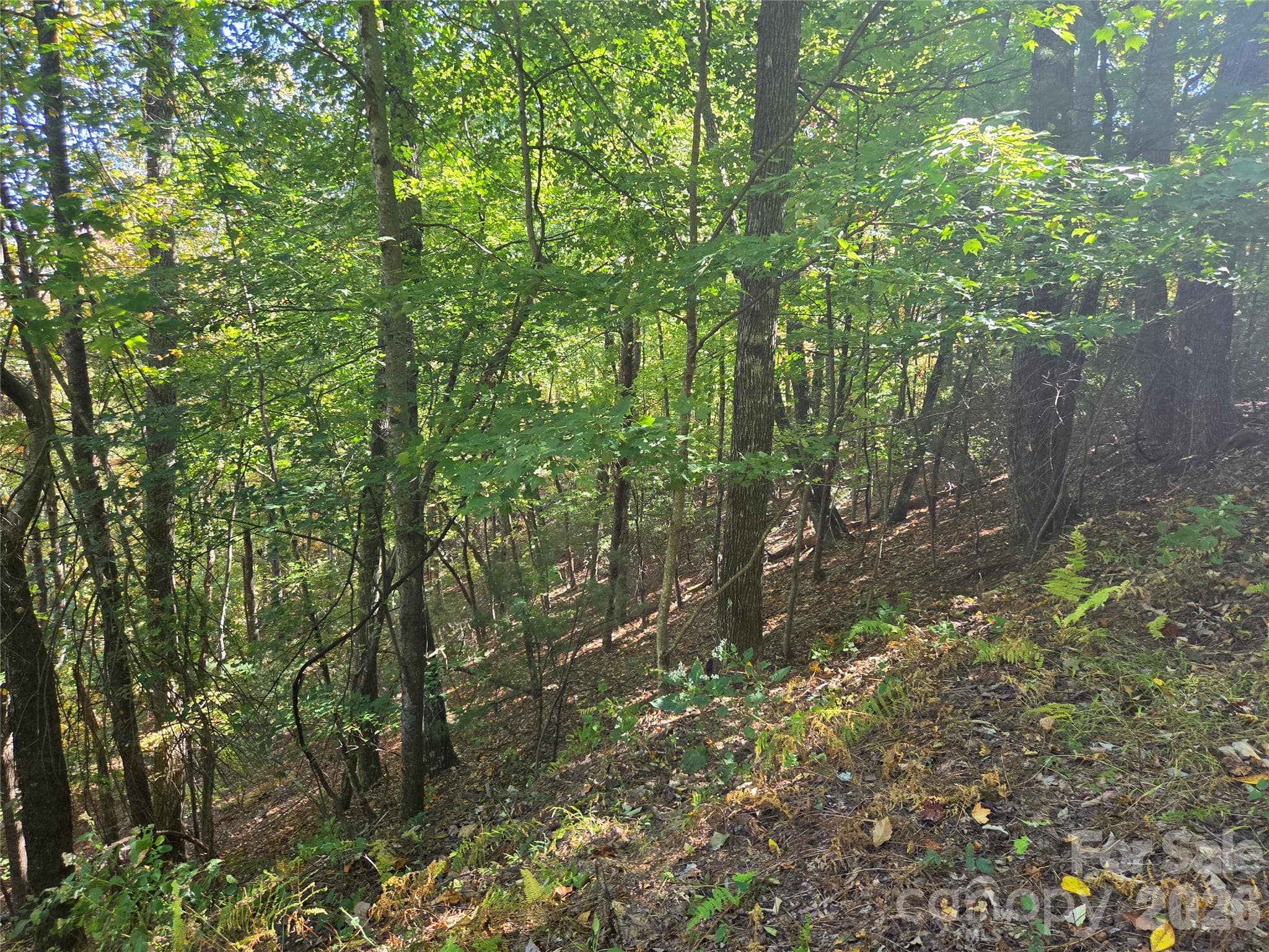 Acreage at 29 Elk Ridge Road, Ferguson, photo 5 of 23
