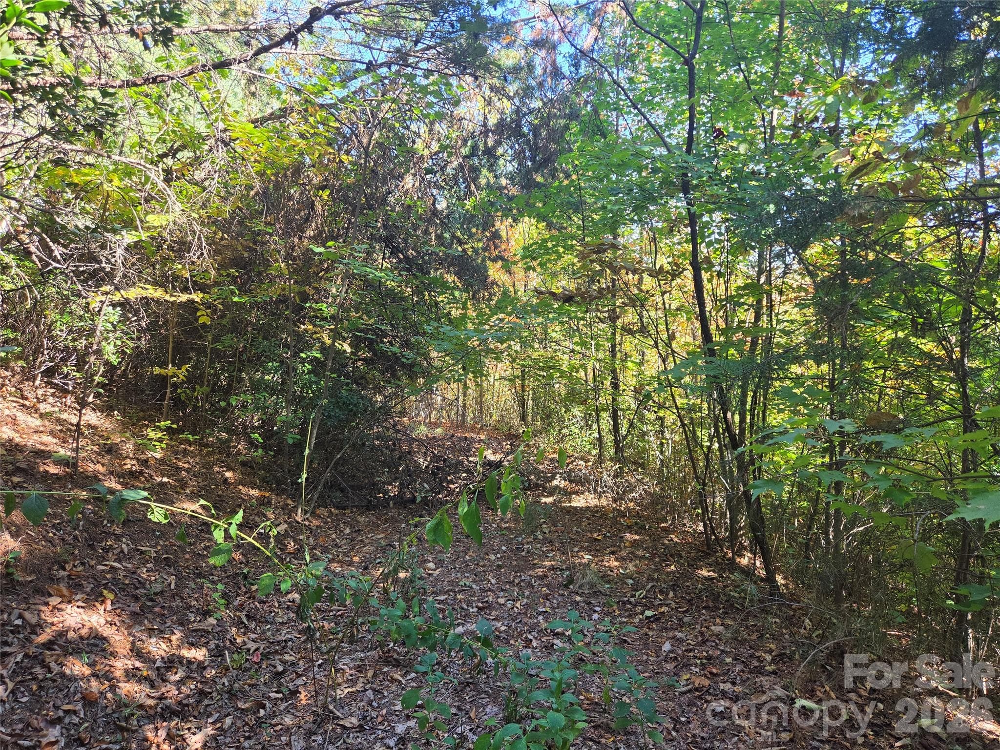 Acreage at 29 Elk Ridge Road, Ferguson, photo 6 of 23