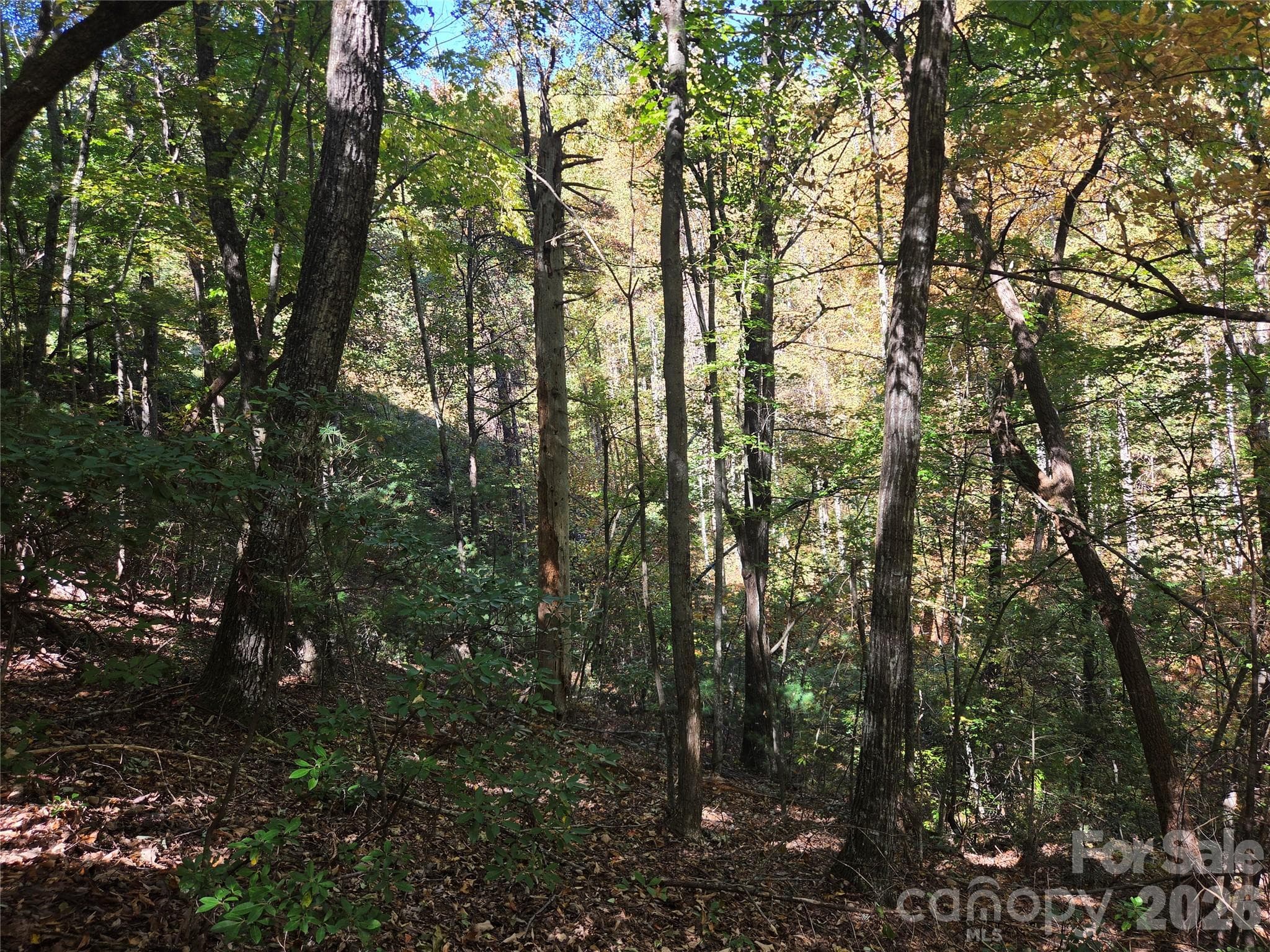 Acreage at 29 Elk Ridge Road, Ferguson, photo 8 of 23