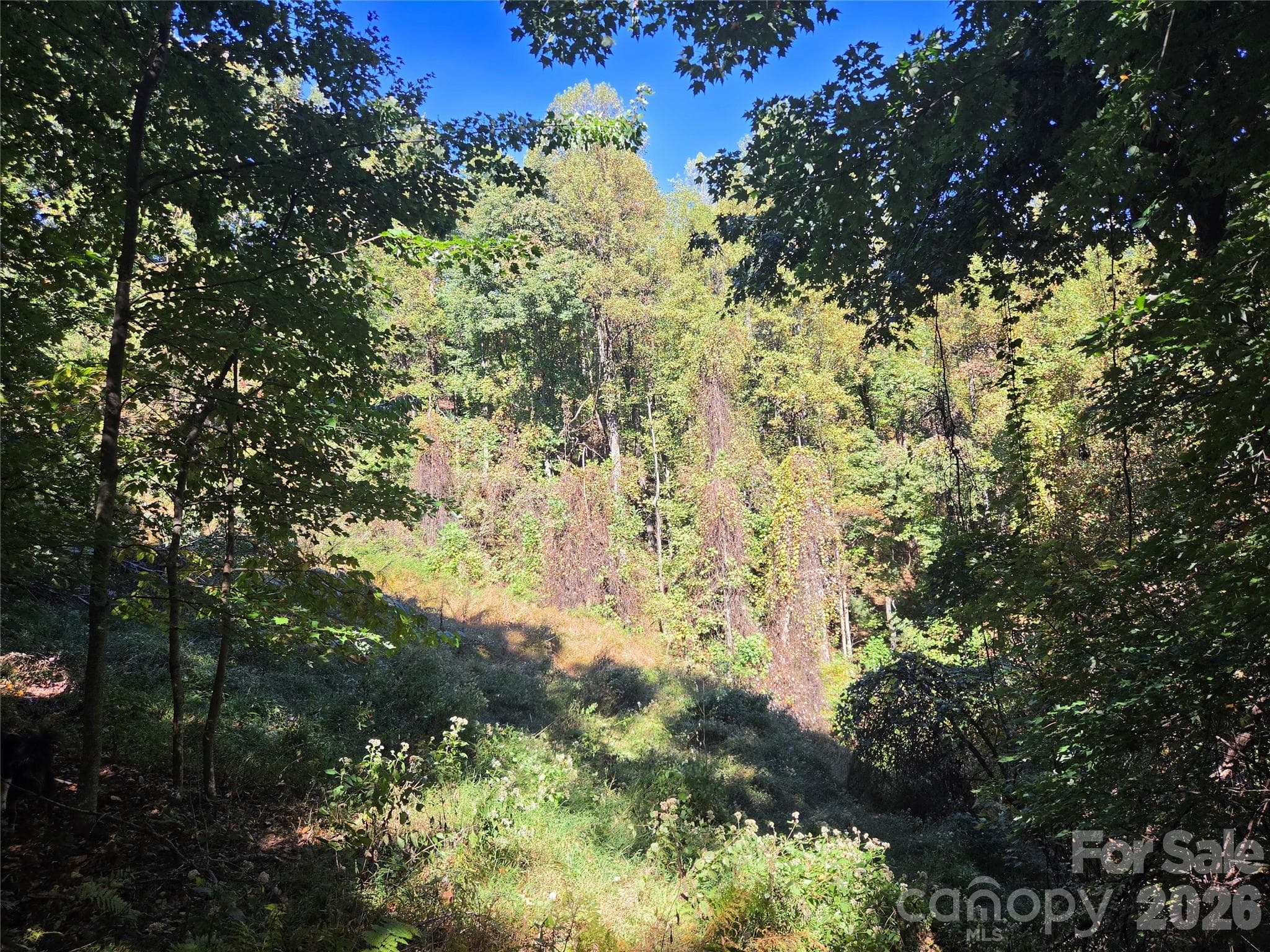 Acreage at 29 Elk Ridge Road, Ferguson, photo 20 of 23
