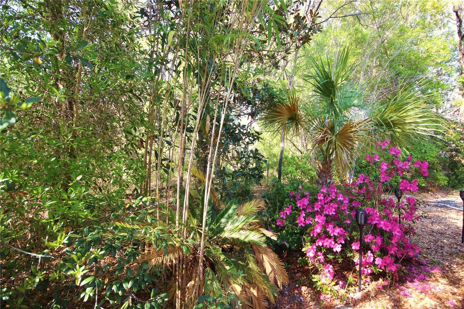 Single Family Residence at 14 CARNATION CT, HOMOSASSA, photo 33 of 63