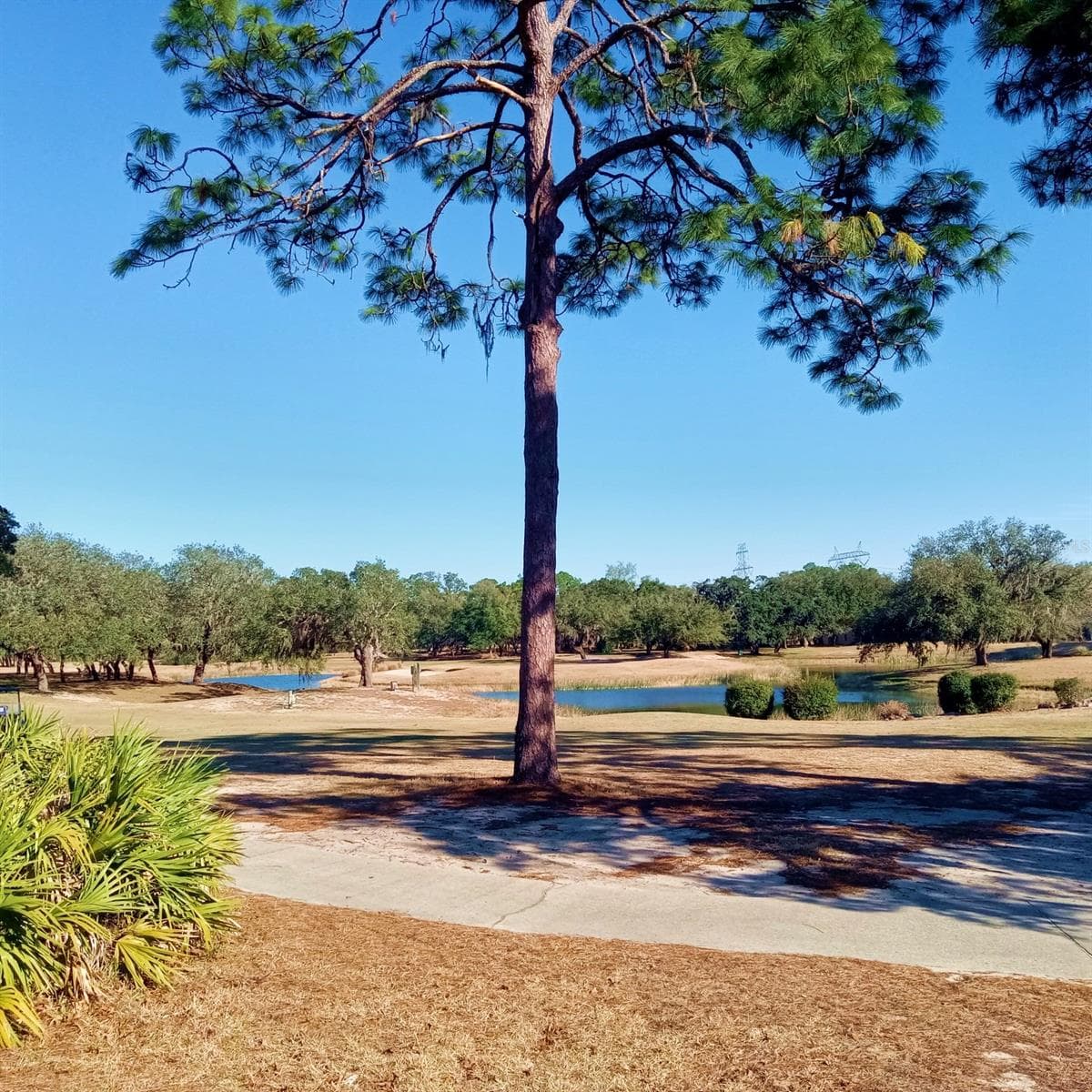 Single Family Residence at 14 CARNATION CT, HOMOSASSA, photo 56 of 63