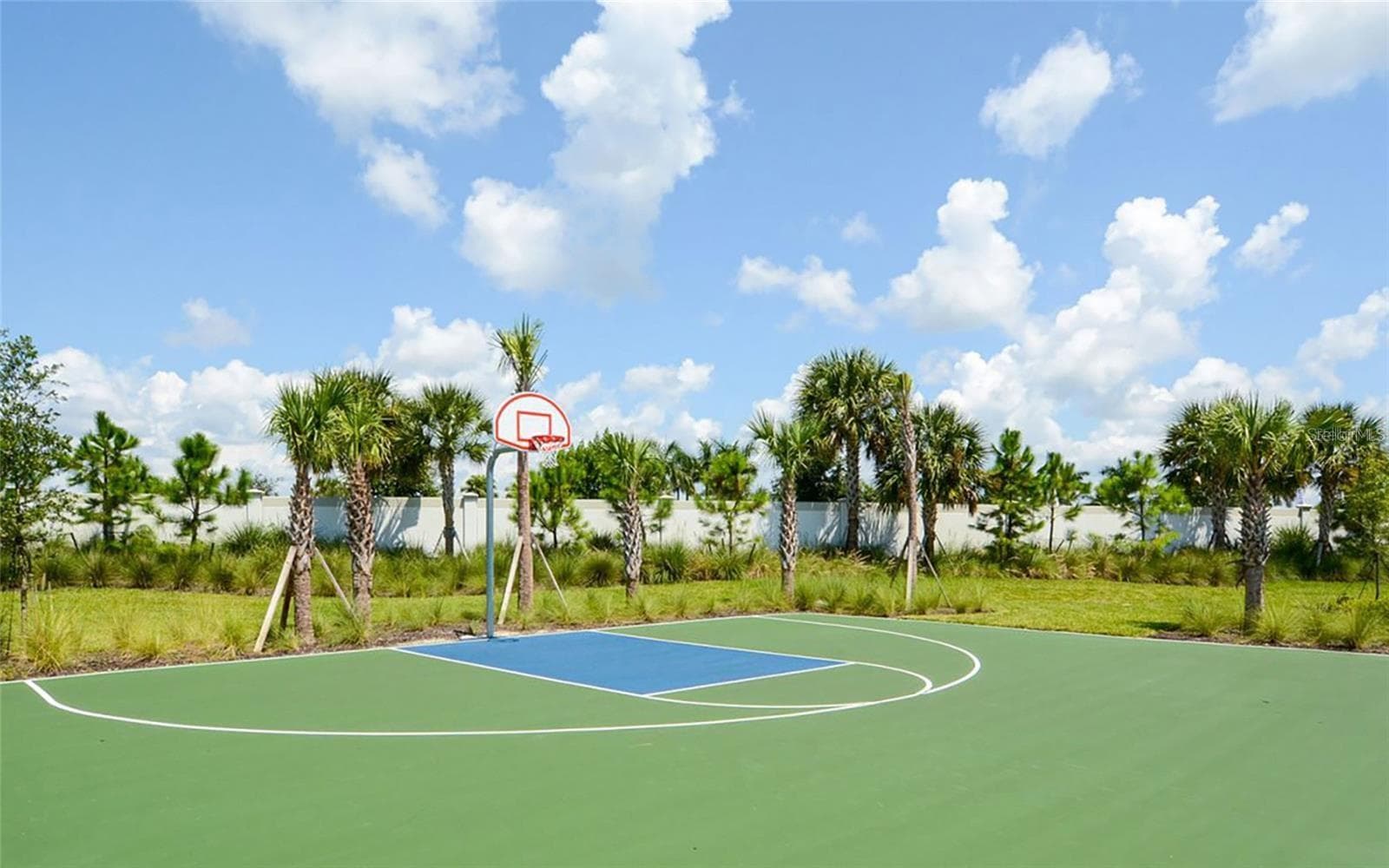 Basketball - 5731 WOODLAND SAGE DR, SARASOTA