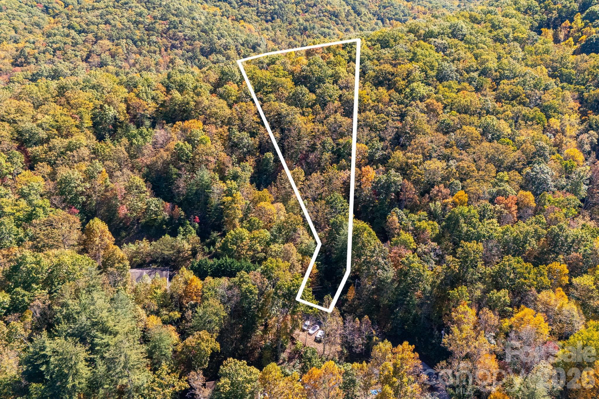 Outline of the land parcel, narrow at the driveway and opening at the upper portion for a home site. - 20 Santeelah Drive, Candler