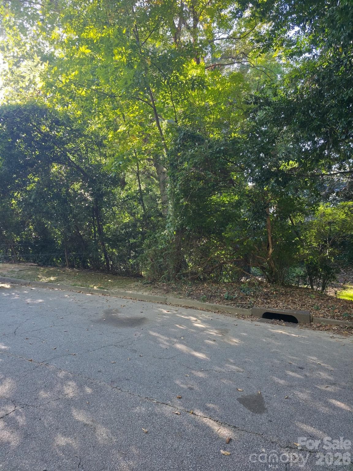 Lot at 0 Walthall Court NW, Atlanta, photo 4 of 11