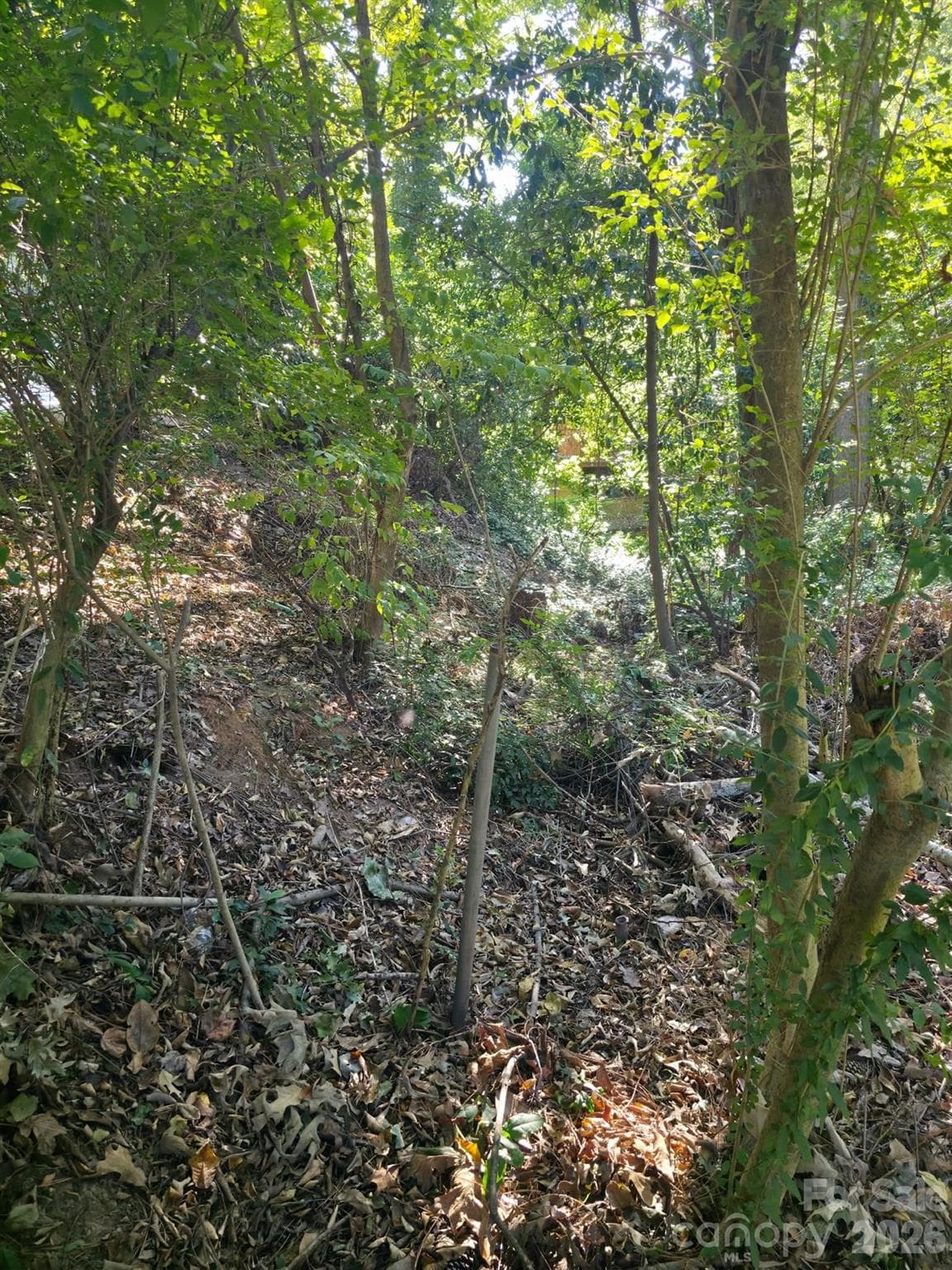 Lot at 0 Walthall Court NW, Atlanta, photo 11 of 11