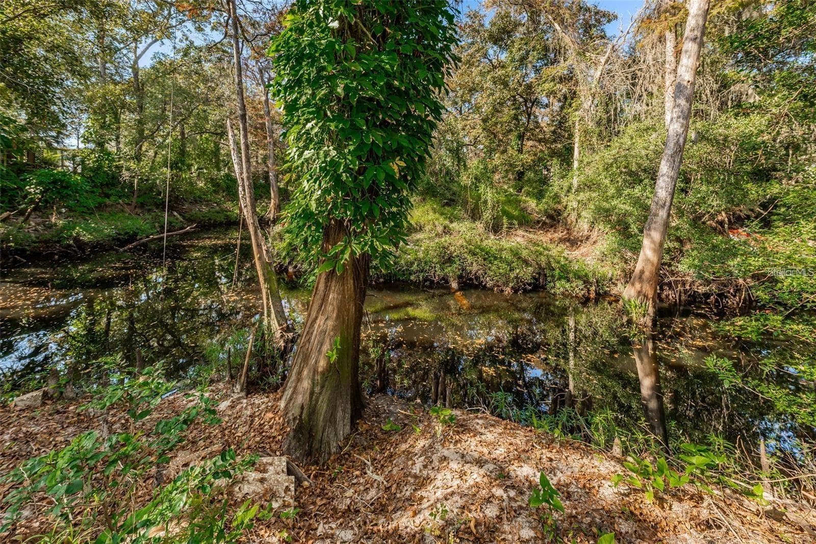 Land at 3837 STREAMSIDE LN, NEW PORT RICHEY, photo 7 of 11