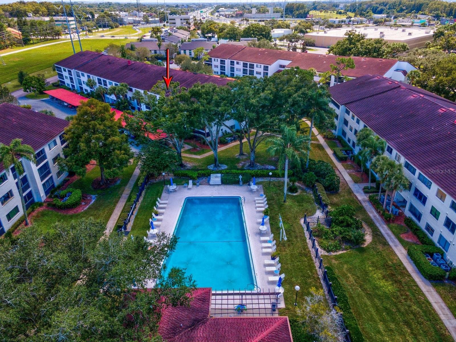 Huge community pool steps away - 2593 COUNTRYSIDE BLVD #7304, CLEARWATER