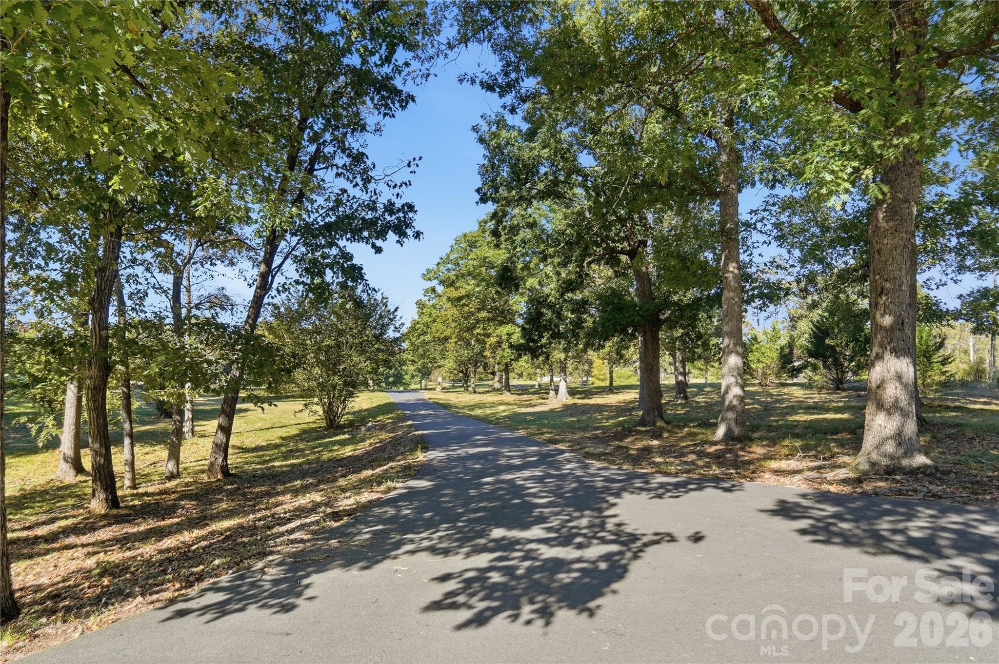 Your paved driveway, not the street, but your own driveway Tree lined.  Impressive entrance to your own private estate! - 244 Ruth Boulevard, Peachland