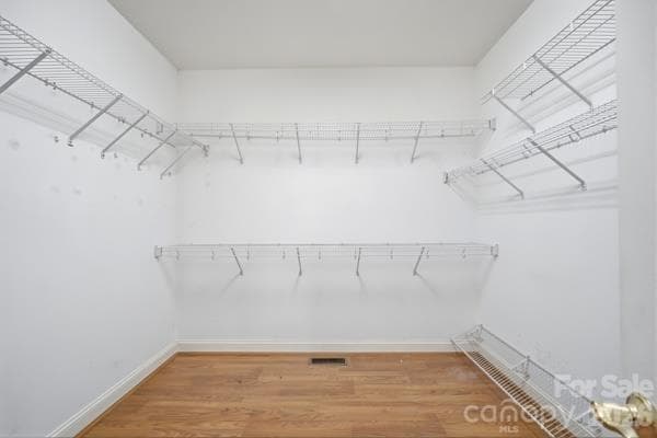 More space than you can imagine.  This primary walk in closet features shelving all around. - 244 Ruth Boulevard, Peachland