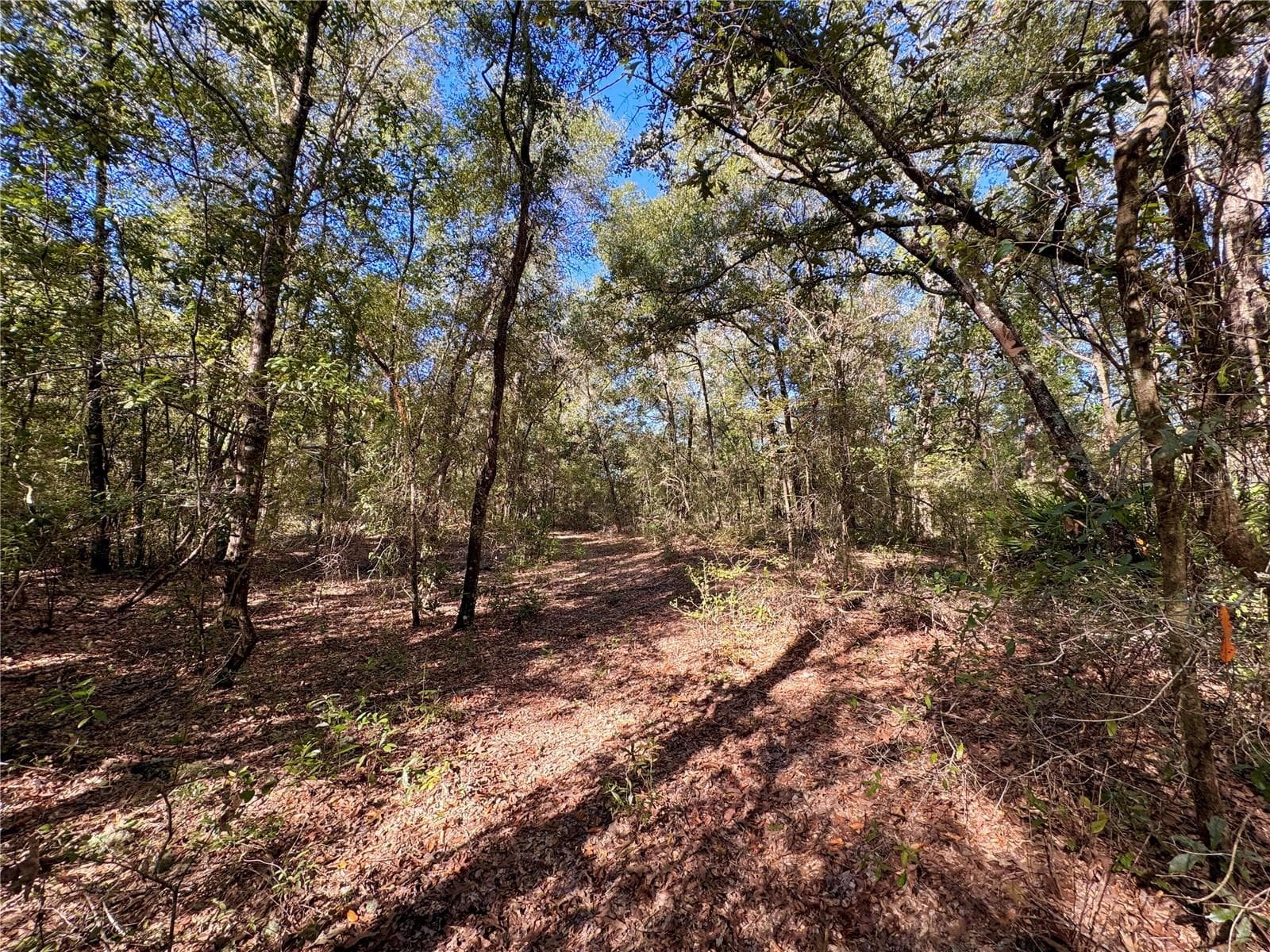 Land at NE CR 340, HIGH SPRINGS, photo 5 of 7