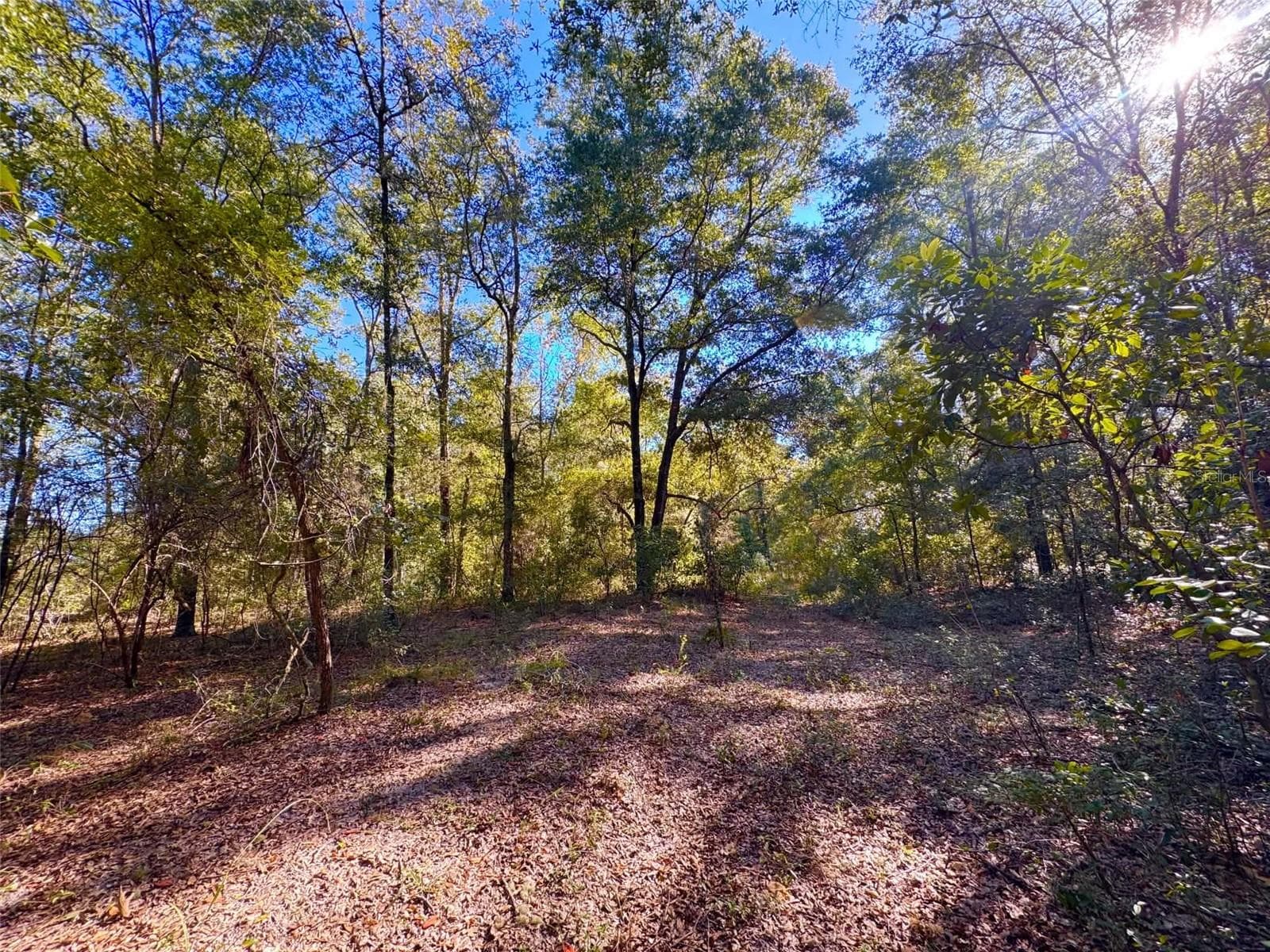 Land at NE CR 340, HIGH SPRINGS, photo 6 of 7