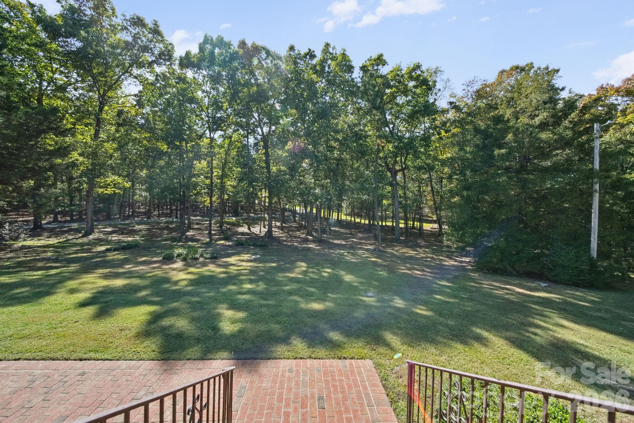 20 Acres of pines and hardwoods - 1500 Lee Lynn Road, Albemarle