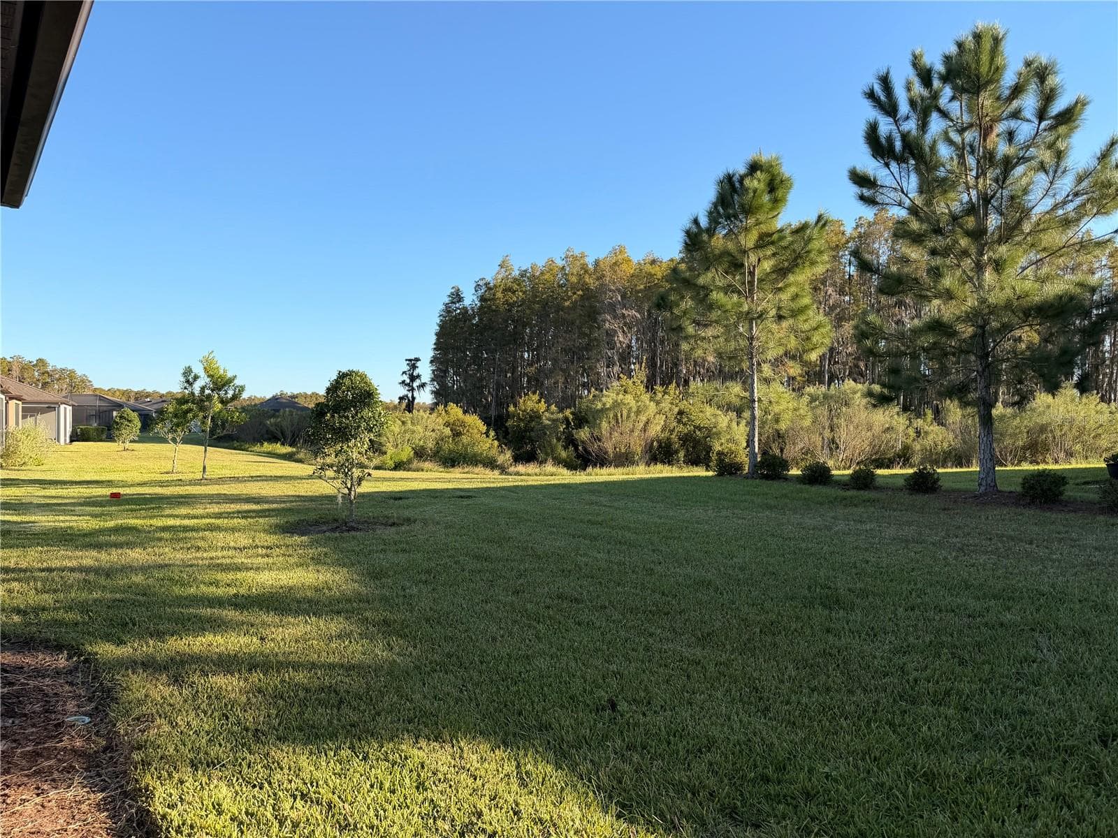 Backs up to Conservation Lot - 19420 SHIP WHEEL WAY, LAND O LAKES