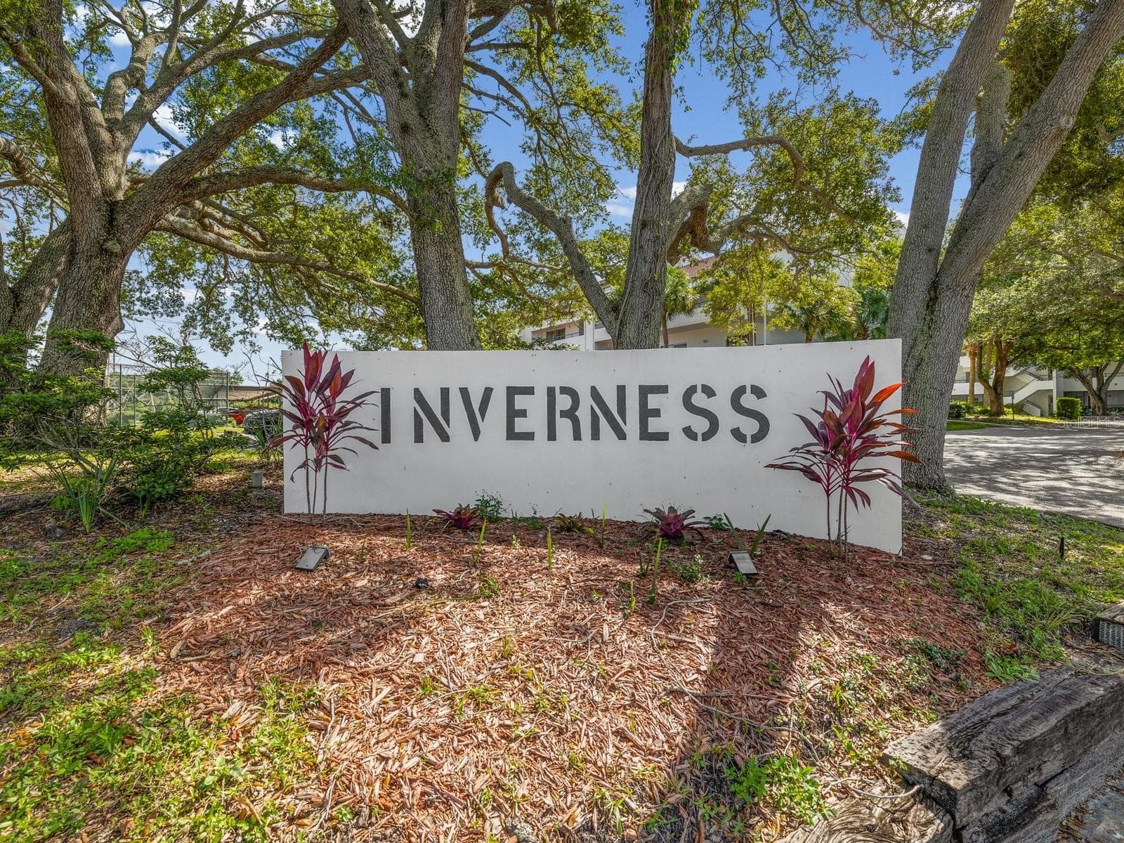 Condominium at 2593 COUNTRYSIDE BLVD #7304, CLEARWATER, photo 41 of 45