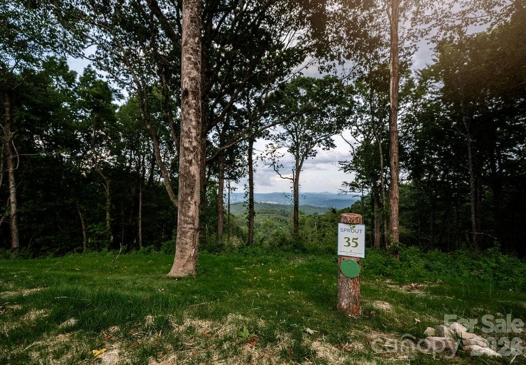 Lot at 0000 East Garden Trail, Hendersonville, photo 5 of 13