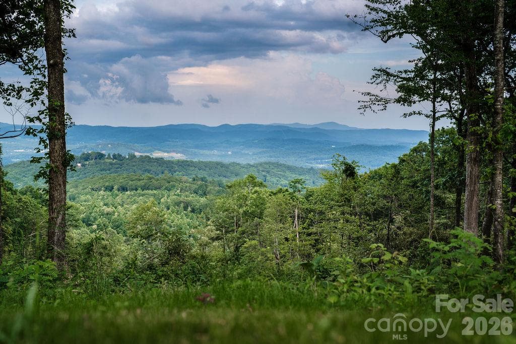 Lot at 0000 East Garden Trail, Hendersonville, photo 6 of 13