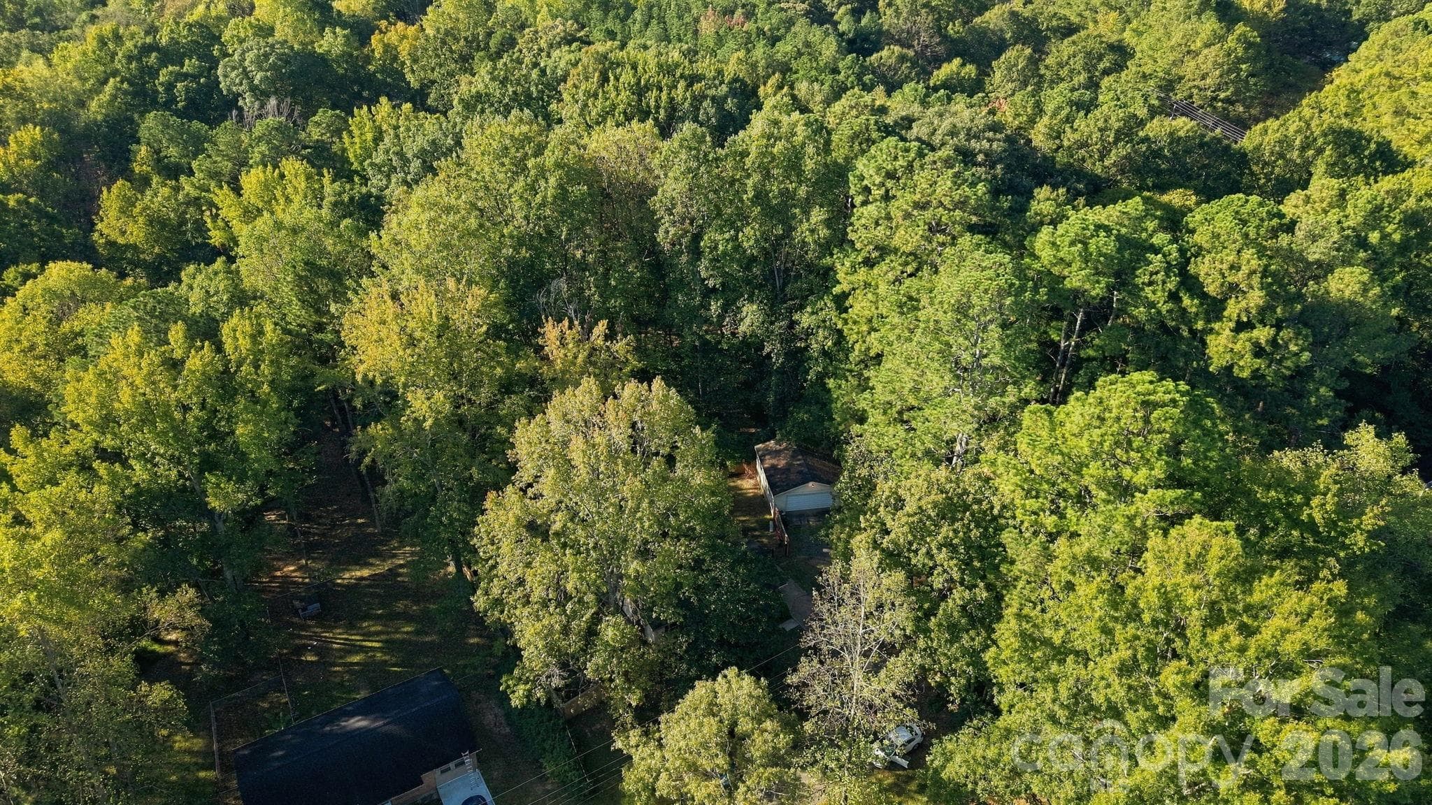 613 Lynn St Waxhaw NC 28173 - 613 Lynn Street, Waxhaw