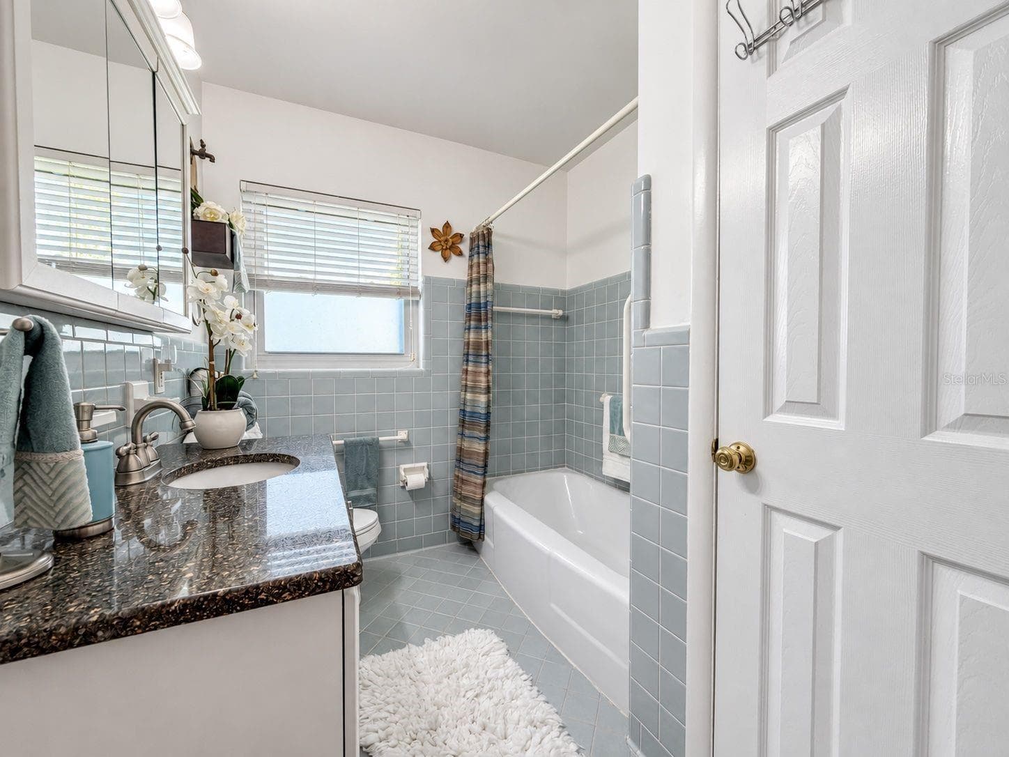 Single Family Residence at 4201 NARVAREZ WAY S, ST PETERSBURG, photo 22 of 50