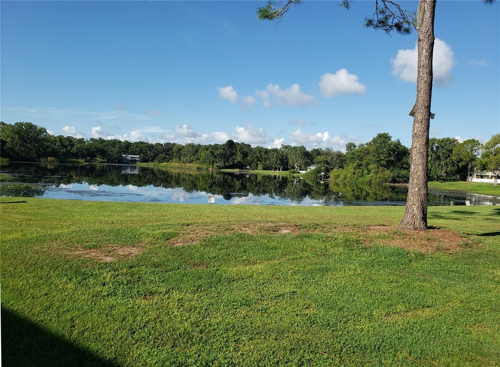 Townhouse at 22620 GAGE LOOP #22, LAND O LAKES, photo 19 of 22