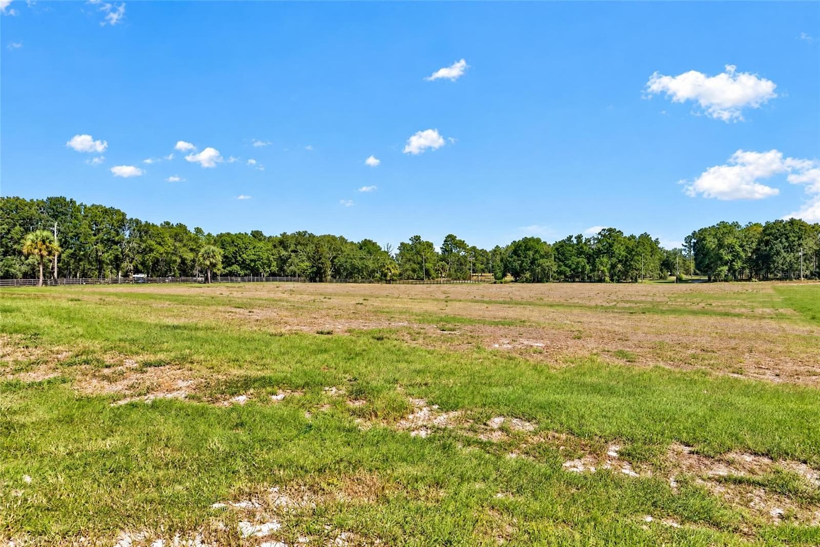 Land at 3954 NW 31ST AVE, BELL, photo 7 of 34