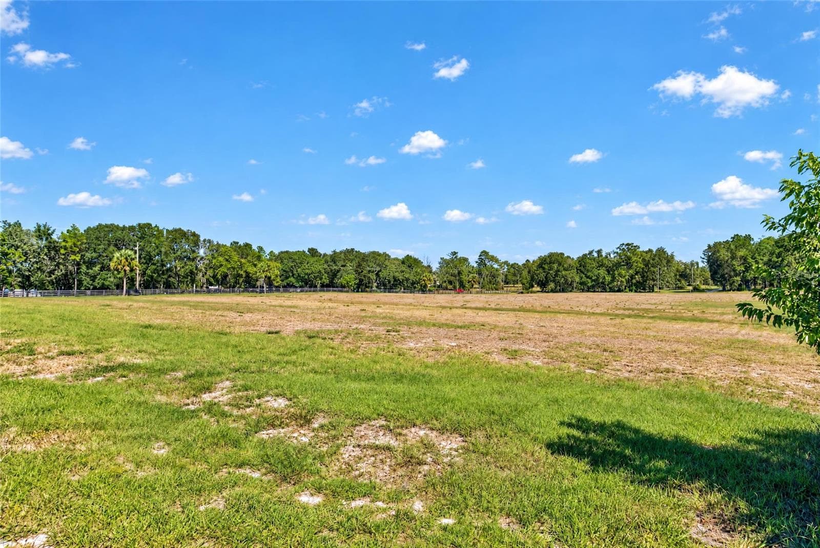 Land at 3954 NW 31ST AVE, BELL, photo 8 of 34
