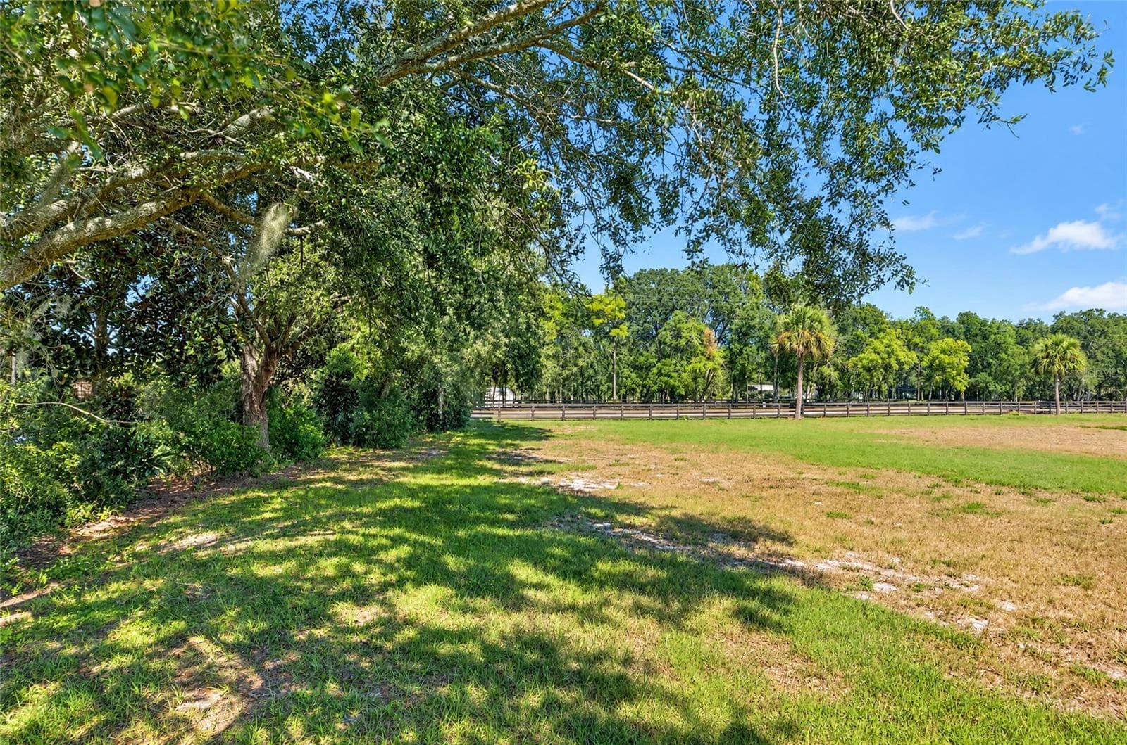 Land at 3954 NW 31ST AVE, BELL, photo 10 of 34