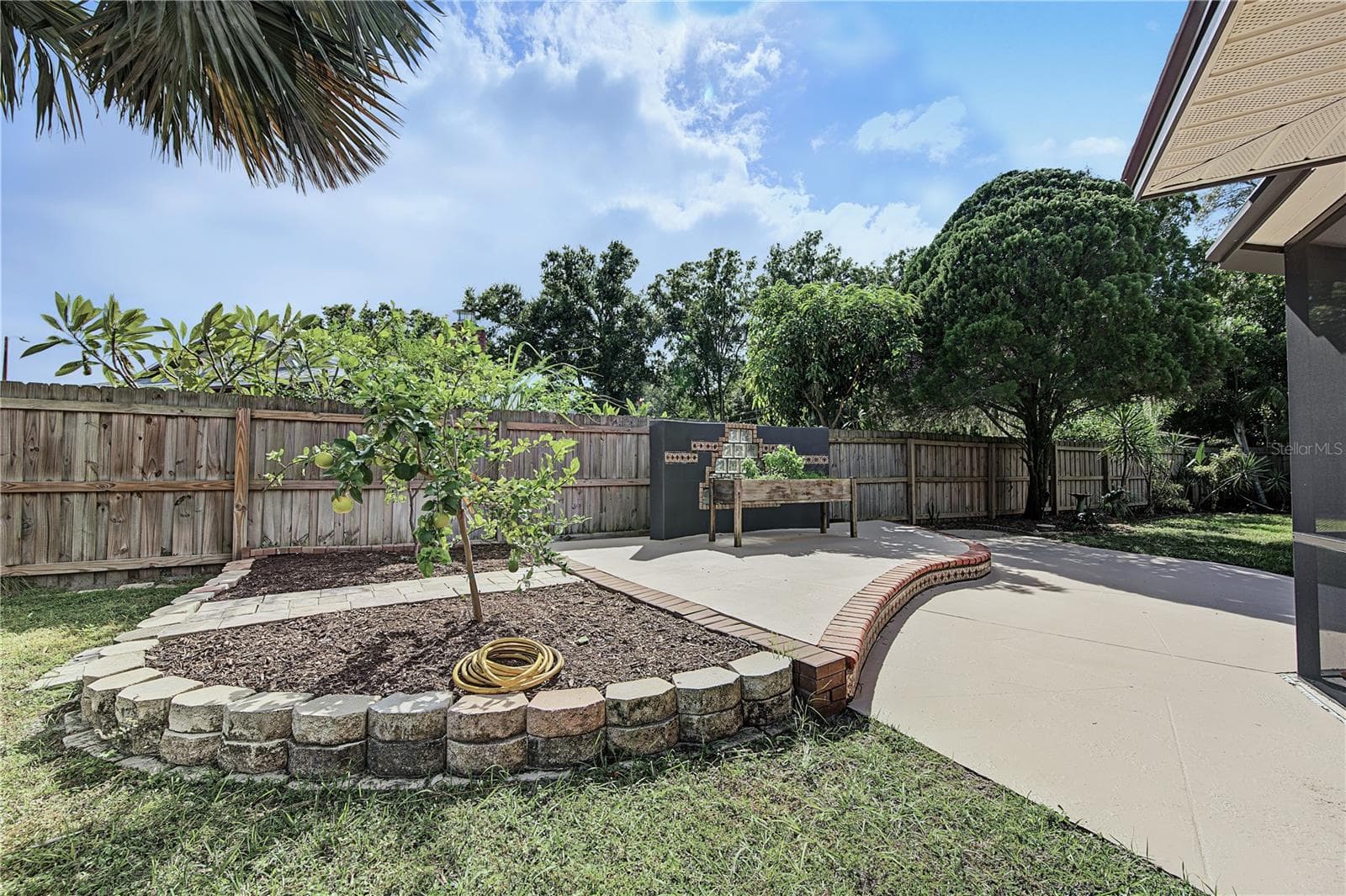 38. Grafted Fruit Trees to Help You Get Your Fruits In.. - 112 PEACOCK CIR, SAFETY HARBOR