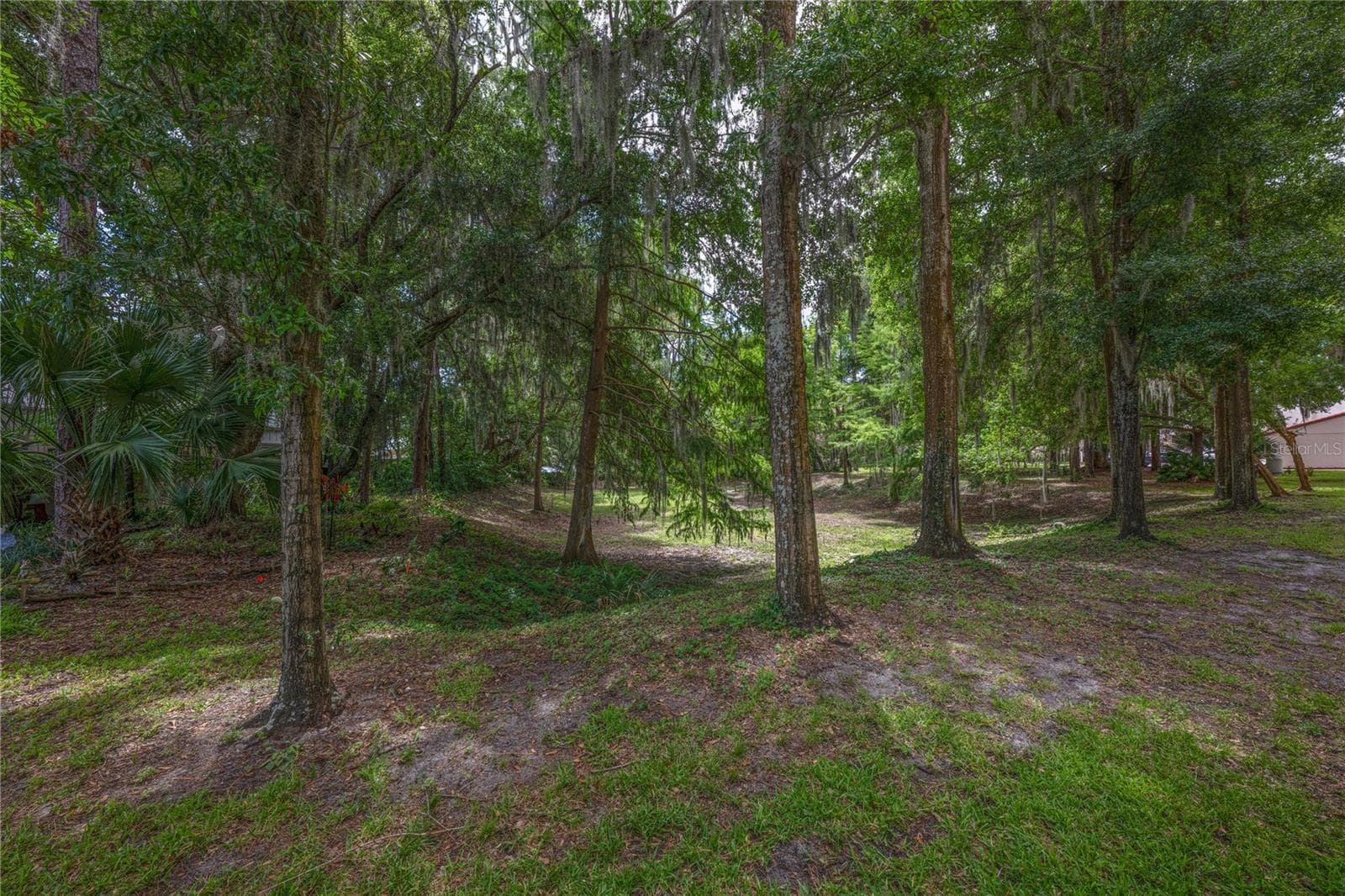 nature trail - 1166 CARMEL CIR #200, CASSELBERRY
