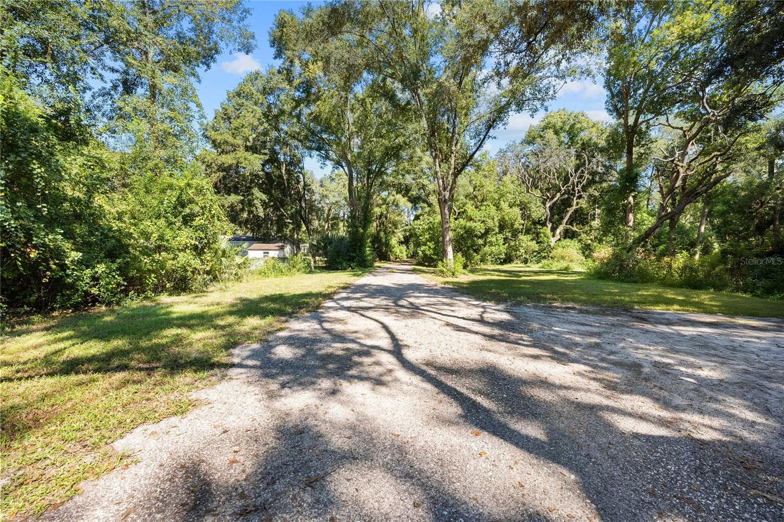 Driveway - 37544 TUCKER RD, ZEPHYRHILLS