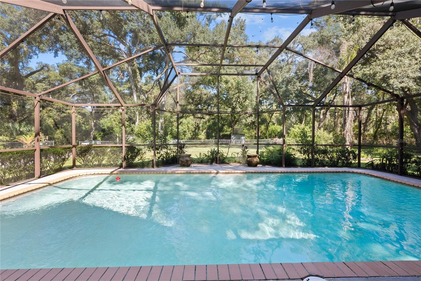 In-Ground Pool - 37544 TUCKER RD, ZEPHYRHILLS