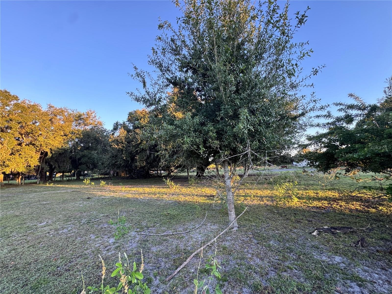 Land at 1804 ZIPPERER RD, BRADENTON