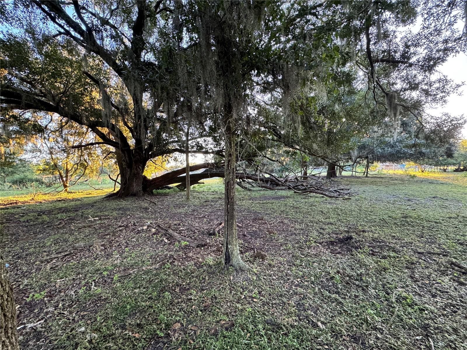 Land at 1804 ZIPPERER RD, BRADENTON, photo 10 of 22