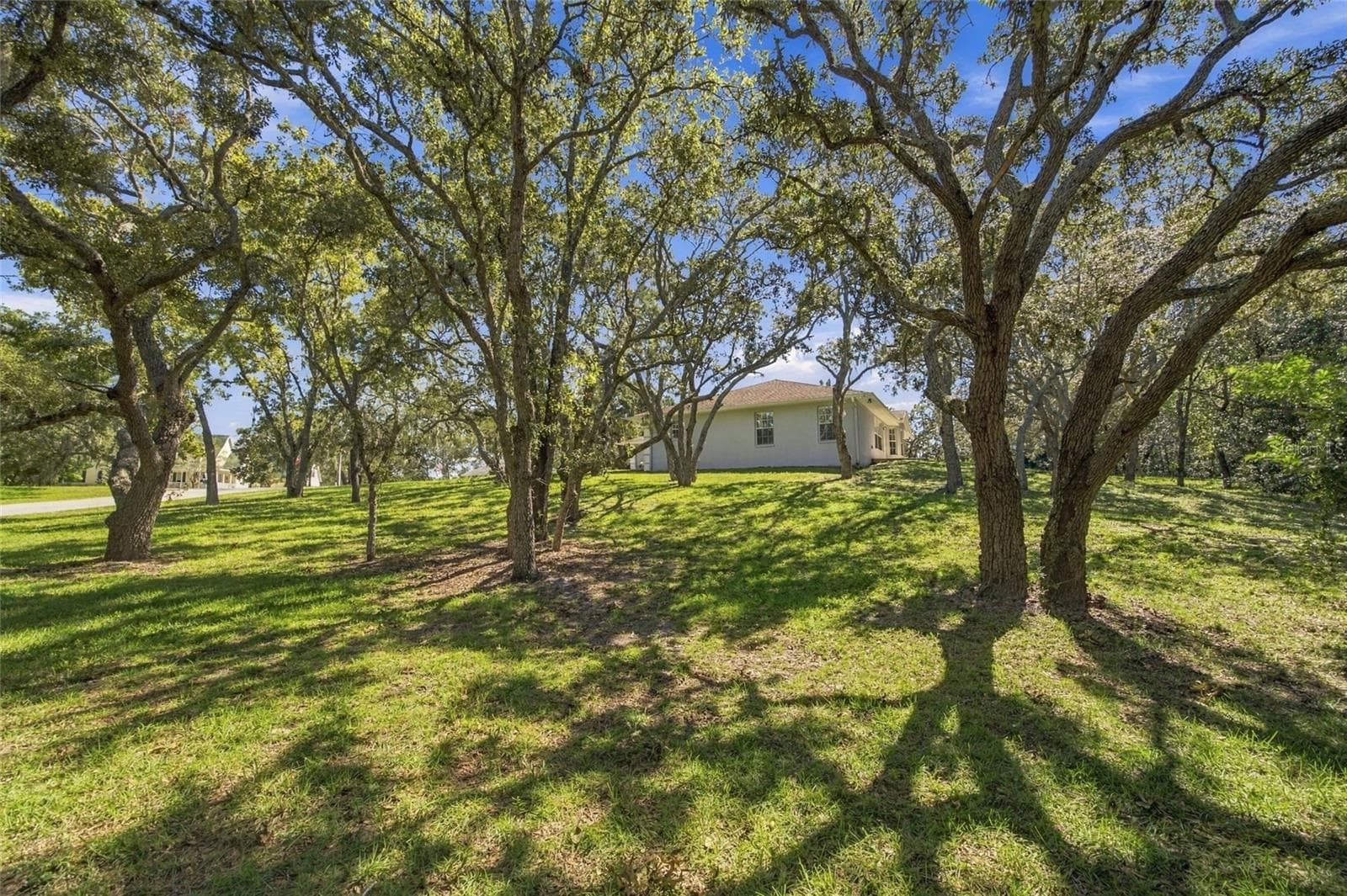 Large Lot - 12707 BOX DR, HUDSON