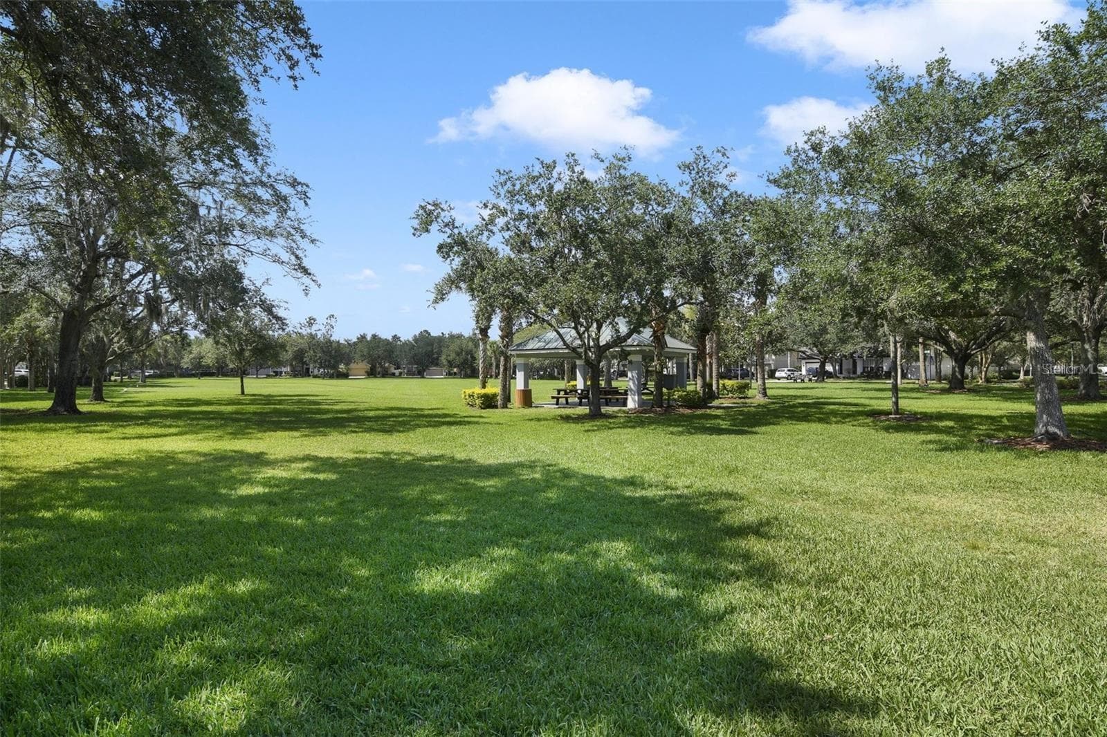 Expansive green space. - 8525 WATERWILLOW PL, ORLANDO