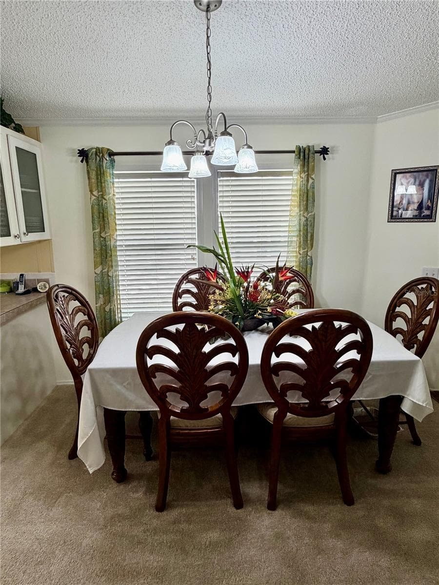 Dining area - 34012 AZALEA DR N, PINELLAS PARK