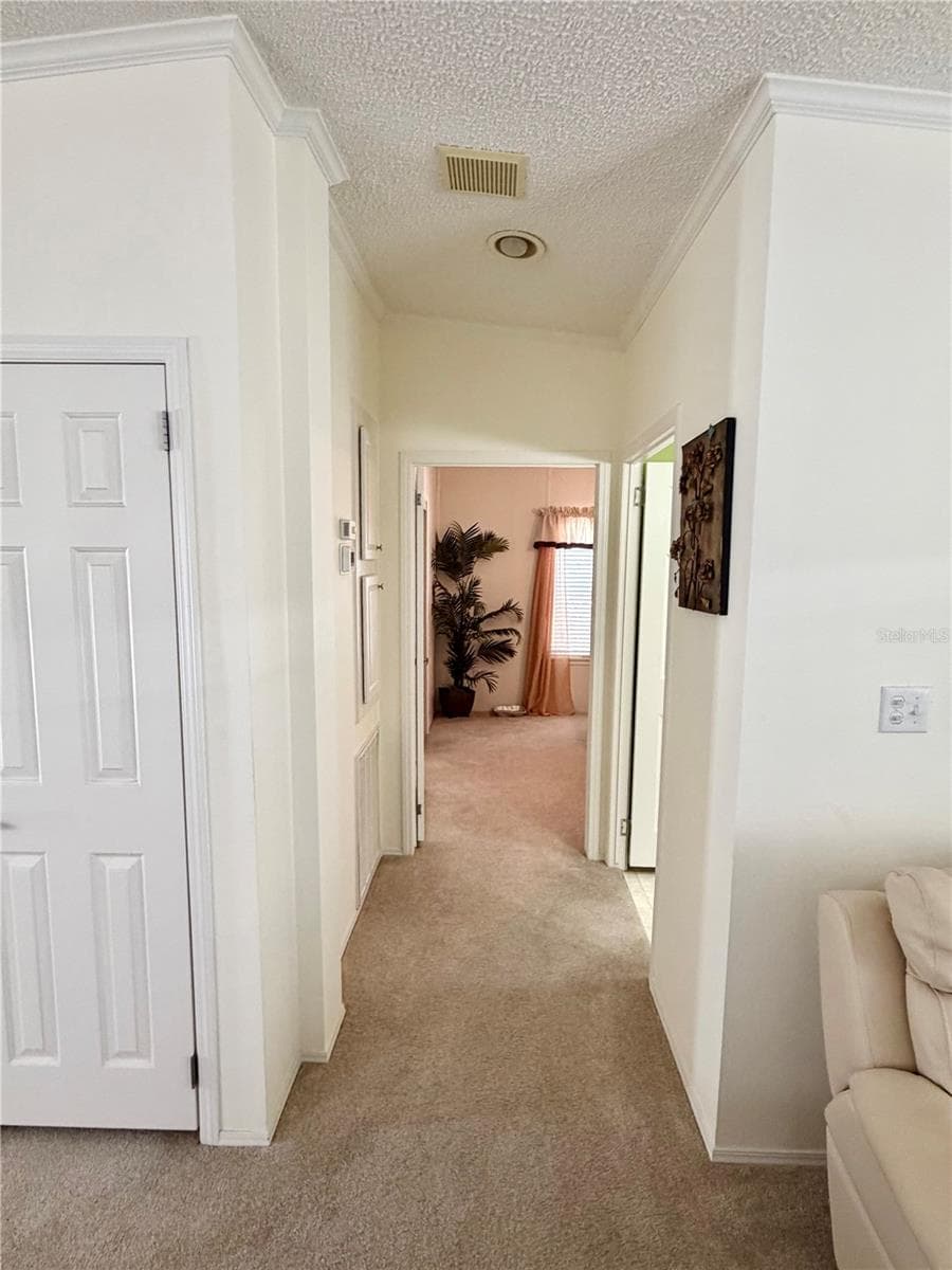 Hall on the front side of the home - 34012 AZALEA DR N, PINELLAS PARK