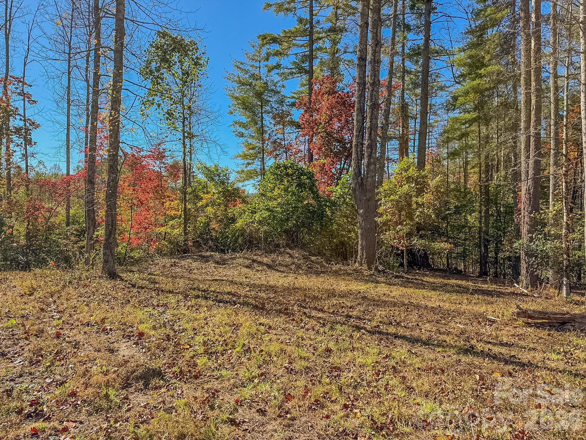 Lot at 00 Crystal Mountain Drive, Hendersonville, photo 8 of 30
