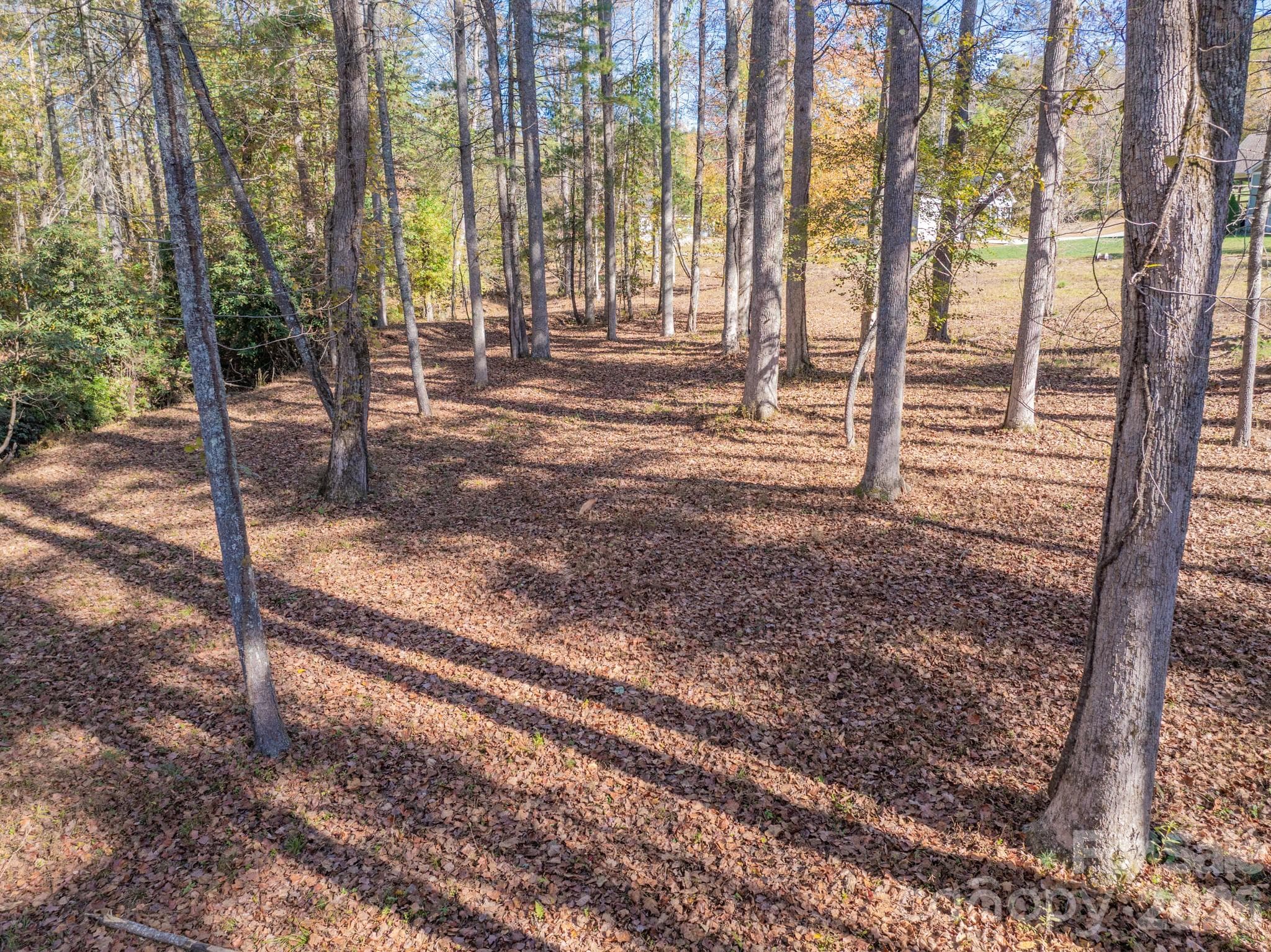 Lot at 00 Crystal Mountain Drive, Hendersonville, photo 19 of 30