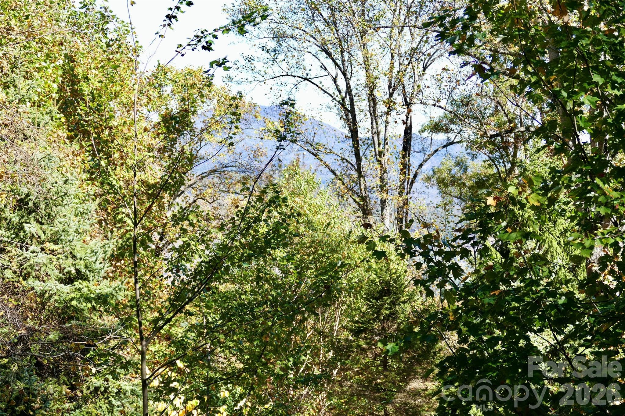 Current without Trimming - Lot 509 Multiflora Way, Waynesville
