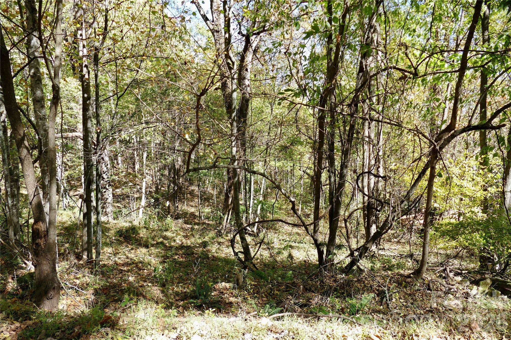 Lot from Street/sloped but not steep - Lot 509 Multiflora Way, Waynesville
