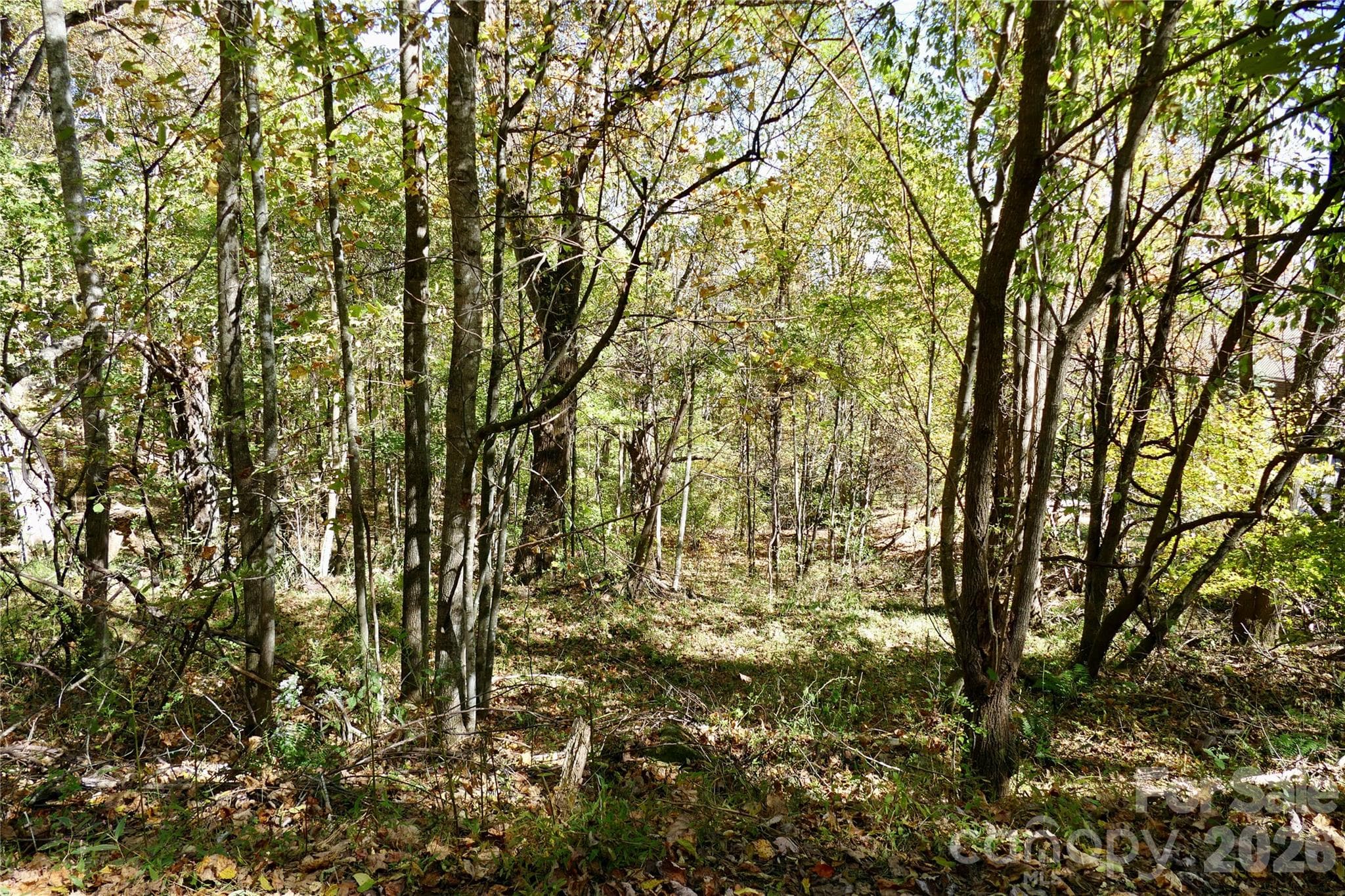 Sloped But not Steep - Lot 509 Multiflora Way, Waynesville